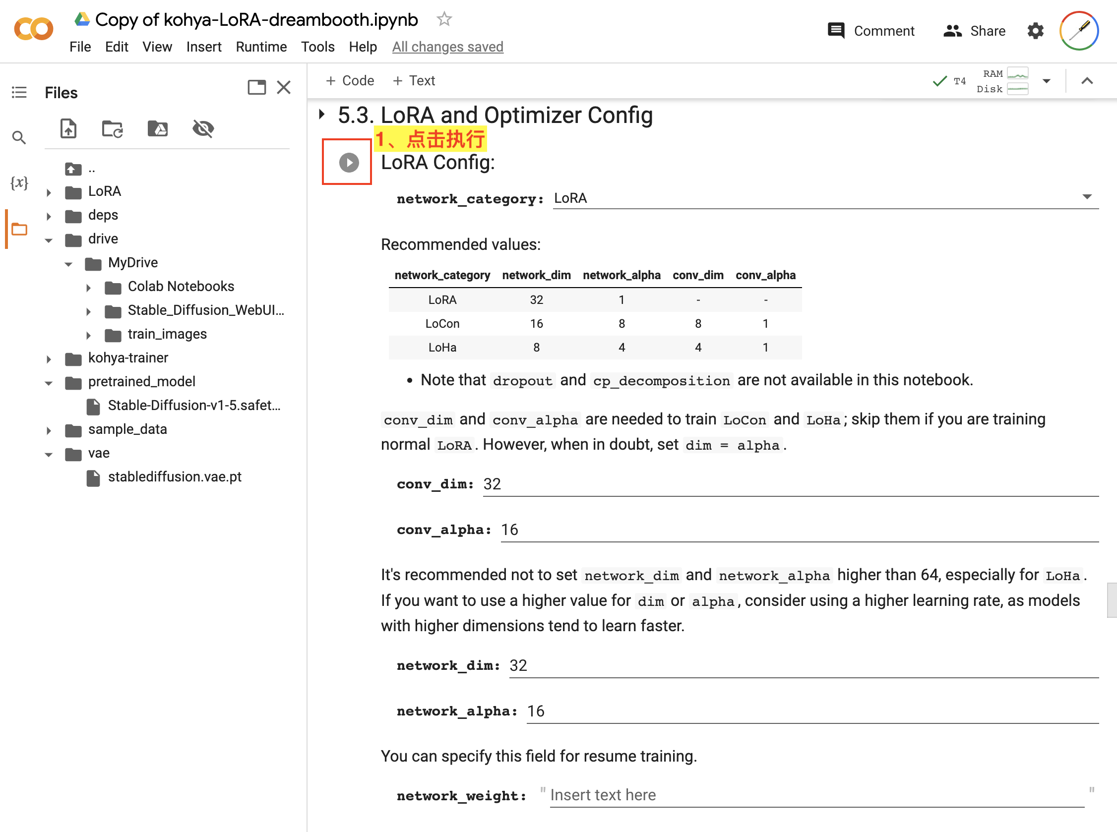 LoRA and Optimizer Config